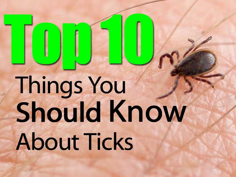 things should know about things should know about