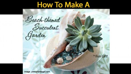 beach-succulent-garden-120313