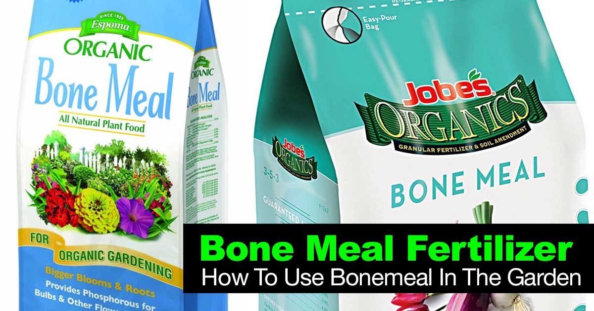 Bone Meal Fertilizer How To Use Bonemeal In The Garden How Much Fertilizer To Use In Vegetable Garden