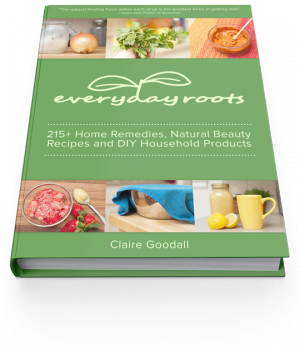 everyday-roots-book