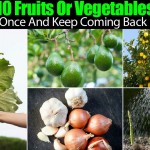 fruits-vegetables-every-year-22820151007