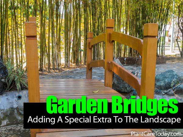 Garden Bridges: A Footbridge Adds A Little Special Extra To The Landscape Garden-bridges-043014