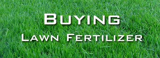 lawn-fertilizer-550