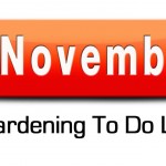 november-gardeing-to-do-list