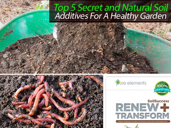top 5 secret and natural soil additives for a healthy garden what you can do now top 5 secret and natural soil additives for a healthy garden what you can do now